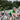 IRELAND KIT