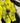 TRIATHLON AERO SHORT SLEEVE SUIT - SPEEDCHEAT HONEYCOMB YELLOW