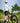 SOCKS - PRO SUMMER BLACK BVs TALL