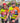 SHORT SLEEVE JERSEY - ALL ROUNDER EVERYDAY TEAM VELO SPEEDQUEEN