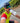 BOTTLES - 600ml WHITE VELO PRO TEAM CYCLING WATER BOTTLE