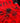 SHORT SLEEVE JERSEY - ALL ROUNDER EVERYDAY HONEYCOMB RED