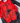 TRIATHLON AERO SHORT SLEEVE SUIT - SPEEDCHEAT HONEYCOMB RED