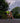 RUNNING - AIR DRY FLUO YELLOW SINGLET WOMENS