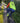 BIB TIGHTS - SUPER ROUBAIX