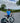 SHORT SLEEVE JERSEY - PRO AERO ITALIAN BLUE