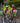 SHORT SLEEVE JERSEY - PRO AERO TEAM VELO SPEEDQUEEN