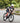 TRIATHLON AERO SHORT SLEEVE SUIT - WOMENS SPEEDCHEAT WHITE TRIANGLES