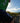 BIB SHORTS - IRELAND ULTRAS
