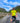 SHORT SLEEVE JERSEY - PRO AERO THE YELLOWS
