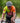 SHORT SLEEVE JERSEY - ALL ROUNDER EVERYDAY TEAM VELO SPEEDQUEEN