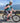 BIB SHORTS - ADVENTURE CARGO EVO