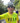 SHORT SLEEVE JERSEY - PRO AERO THE STAND OUT YELLOW