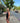 LIFESTYLE - RUNNING AIR DRY SINGLET FEMALE